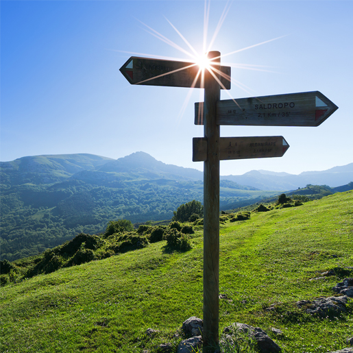 Graystone Background Image